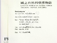 登錄號:F0009936藏品圖，第2張