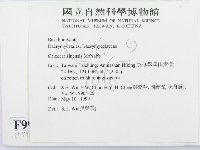 登錄號:F0009937藏品圖，第2張