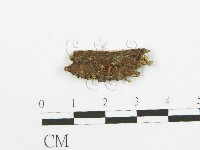 登錄號:F0009940藏品圖，第1張