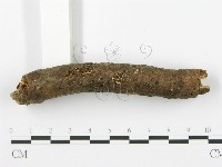 登錄號:F0009941藏品圖，第1張