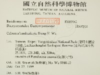 登錄號:F0009942藏品圖，第2張