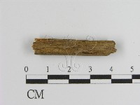 登錄號:F0009942藏品圖，第1張
