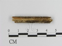 登錄號:F0009943藏品圖，第1張