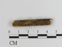 登錄號:F0009943藏品圖，第3張