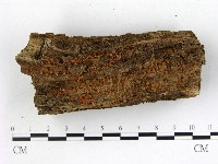 登錄號:F0009944藏品圖，第1張