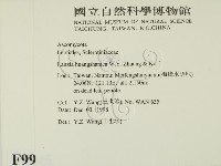 登錄號:F0009945藏品圖，第2張