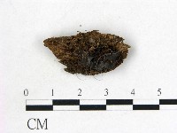 登錄號:F0009946藏品圖，第1張