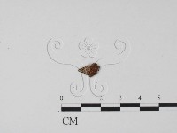 登錄號:F0009949藏品圖，第1張