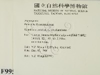 登錄號:F0009950藏品圖，第2張