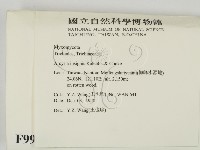 登錄號:F0009951藏品圖，第2張