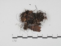 登錄號:F0009953藏品圖，第3張