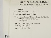 登錄號:F0009954藏品圖，第2張