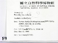 登錄號:F0009956藏品圖，第2張