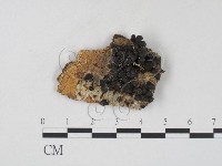 登錄號:F0009959藏品圖，第1張