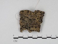 登錄號:F0009960藏品圖，第1張