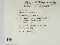 登錄號:F0009961藏品圖，第2張