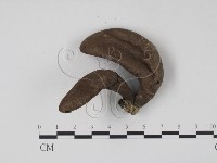 登錄號:F0009961藏品圖，第1張