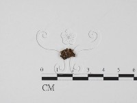 登錄號:F0009963藏品圖，第1張