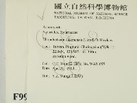 登錄號:F0009964藏品圖，第2張