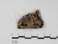 登錄號:F0009964藏品圖，第1張