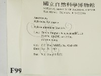 登錄號:F0009965藏品圖，第2張