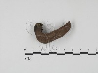 登錄號:F0009965藏品圖，第1張