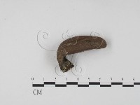 登錄號:F0009965藏品圖，第4張