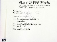 登錄號:F0009966藏品圖，第2張