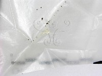 登錄號:F0009967藏品圖，第1張