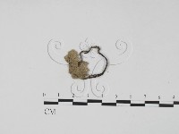 登錄號:F0009969藏品圖，第1張