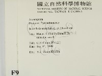 登錄號:F0009970藏品圖，第2張