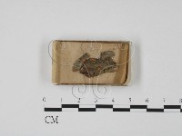 登錄號:F0009970藏品圖，第1張