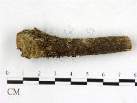 登錄號:F0009971藏品圖，第1張