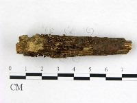 登錄號:F0009971藏品圖，第3張