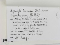 登錄號:F0009973藏品圖，第2張