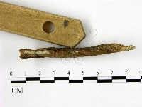 登錄號:F0009974藏品圖，第3張