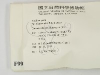 登錄號:F0009975藏品圖，第2張