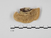 登錄號:F0009975藏品圖，第1張