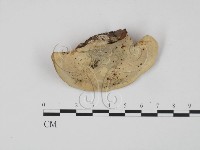 登錄號:F0009975藏品圖，第3張