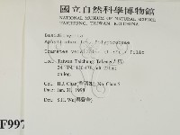 雲芝藏品圖，第2張