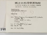 韌革菌屬藏品圖，第2張