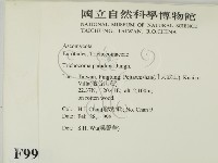 登錄號:F0009982藏品圖，第2張