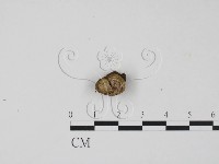 登錄號:F0009982藏品圖，第1張