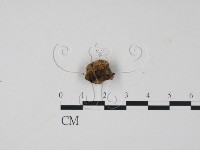 登錄號:F0009982藏品圖，第3張