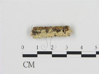 登錄號:F0009983藏品圖，第1張