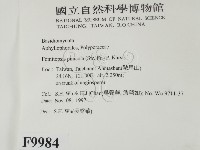 松生擬層孔菌藏品圖，第2張