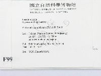 登錄號:F0009989藏品圖，第2張