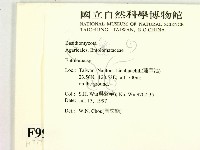 粉褶菌屬藏品圖，第2張