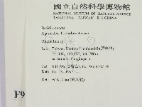 登錄號:F0009991藏品圖，第2張
