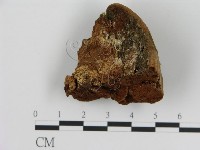 登錄號:F0009992藏品圖，第3張